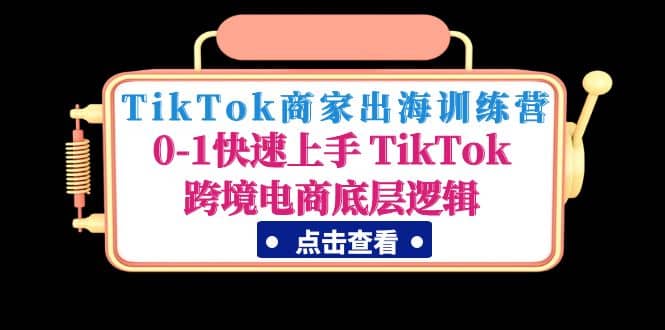 TikTok商家出海训练营:0-1快速上手 TikTok跨境电商底层逻辑(无水印)-维客创业网