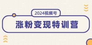 2024视频号-涨粉变现特训营:一站式打造稳定视频号涨粉变现模式(10节)-维客创业网