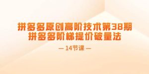 拼多多原创高阶技术第38期,拼多多阶梯提价破量法(14节课)-维客创业网