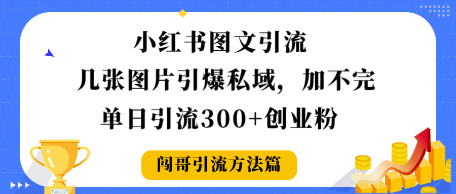 小红书图文引流，几张图片引爆私域加不完，单日引流300＋创业粉-维客创业网