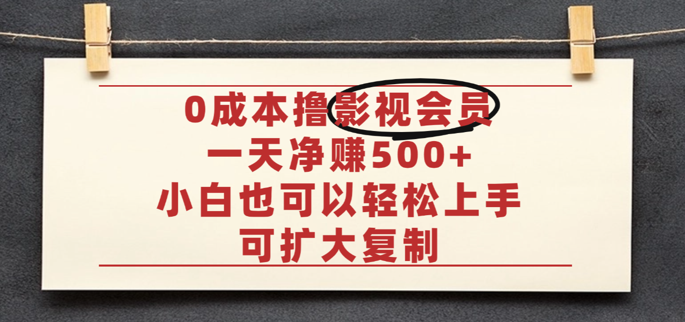 亲测,0成本可批量操作,靠卖影视会员实测月入30000+-维客创业网