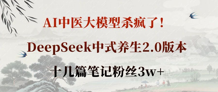 AI中医大模型杀疯了!DeepSeek中式养生2.0版本,十几篇笔记粉丝3w+-维客创业网